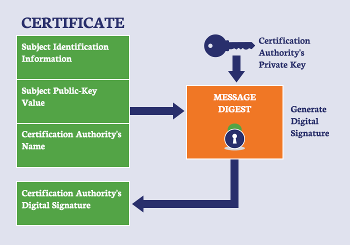 SSL Certificate Verification