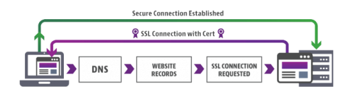 SSL/TLS Certificates - Architecture, Process and Interactions