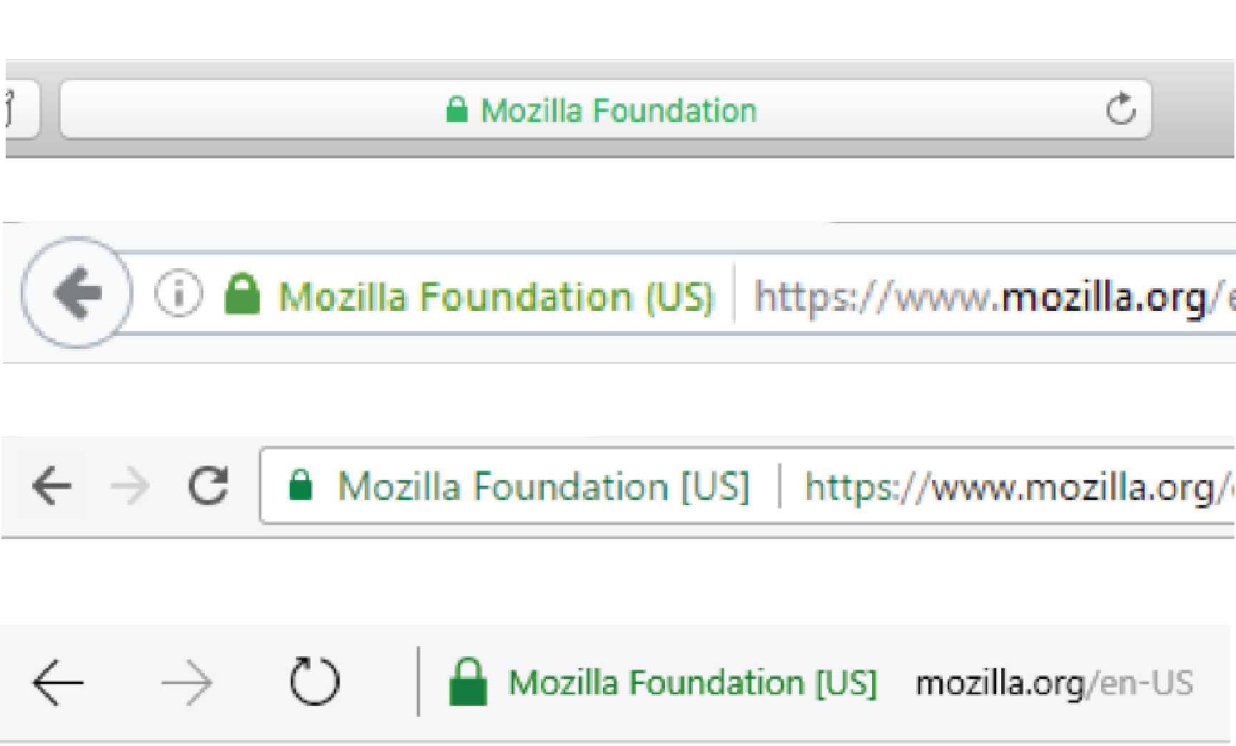 SSL Visual Indicators