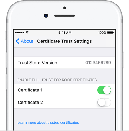 citrix receiver for mac with no issue of certificate trust