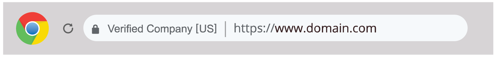 how to spot a fake website, google chrome extended validation indicator