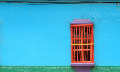Should the Browser Community Distrust PROCERT?