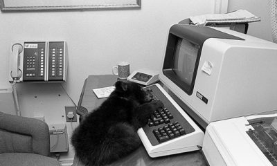 Cyber Security News Roundup: The Last Call