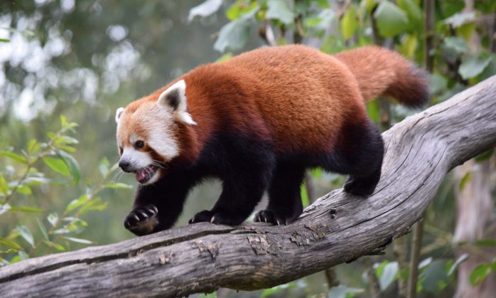 Browser Watch: Firefox HTTP Warning is Incoming