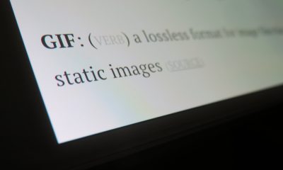 7 GIFs That Perfectly Describe a Website Without SSL Certificate