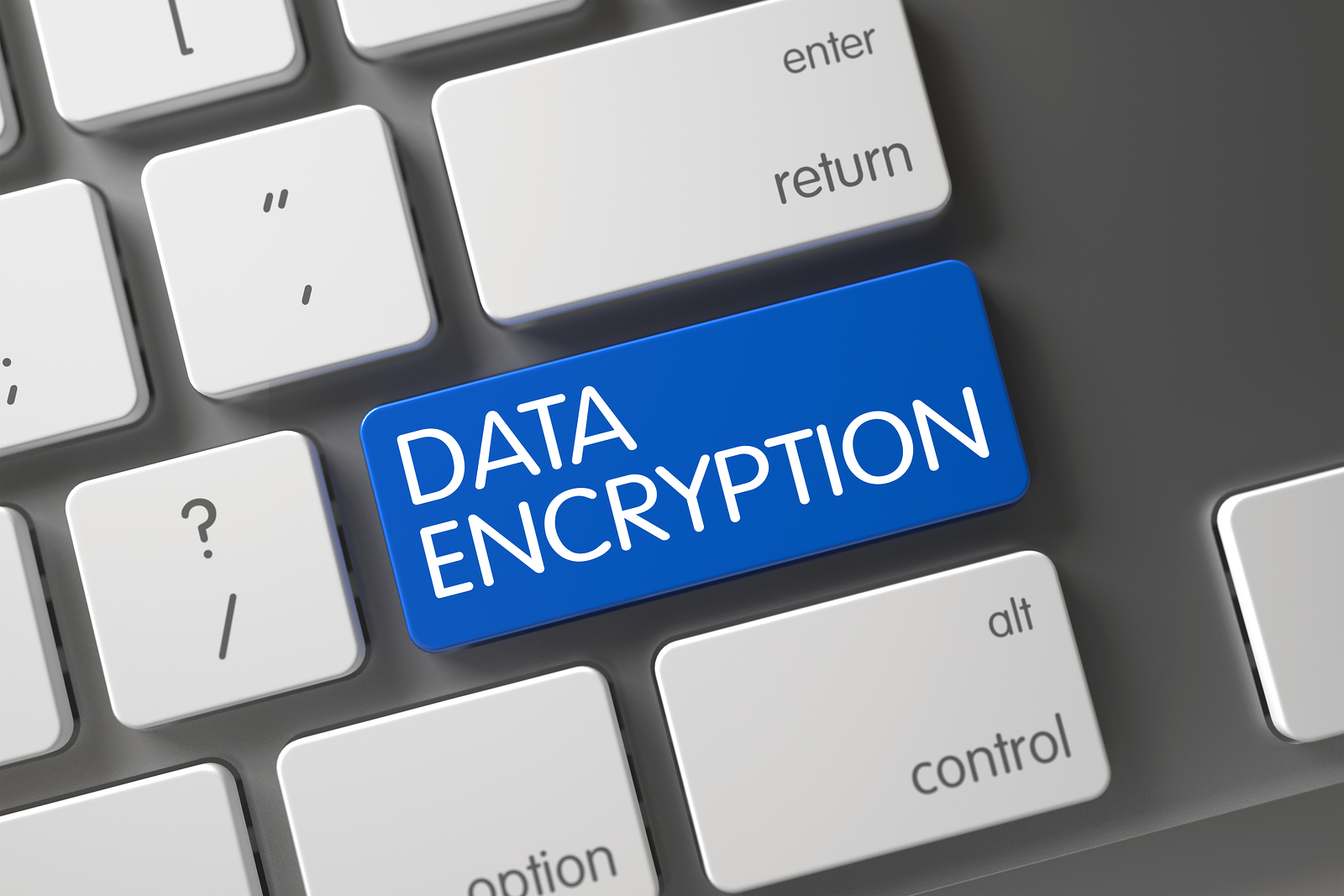 best encryption software without fbi backdoor best encryption software without fbi backdoor