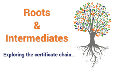 The Difference Between Root Certificates and Intermediate Certificates