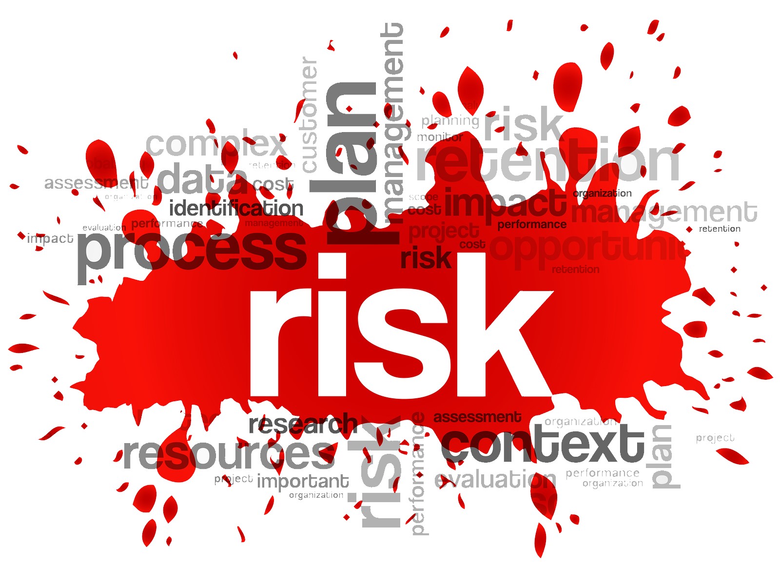 Risk Assessment