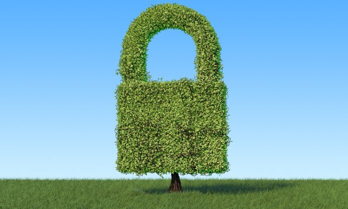 HTTPS Phishing: 49% of Phishing Websites now sport the green padlock