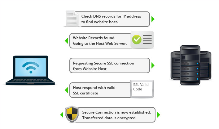 How to Make SSL Certificates Play Nice with ASP.Net Core