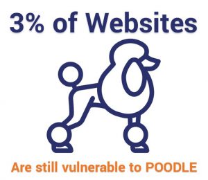 Just 3% of websites are still vulnerable to POODLE