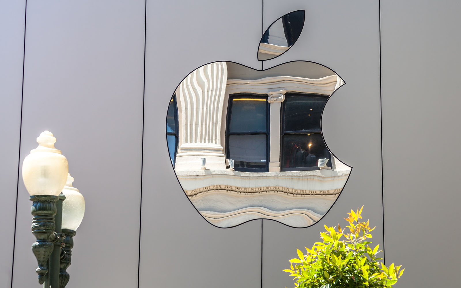 need a valid security certificate for office 365 for my mac need a valid security certificate for office 365 for my mac