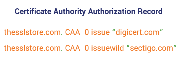 Easygoing building thin What Is a CAA Record? Your Guide to Certificate Authority Authorization -  Hashed Out by The SSL Store™