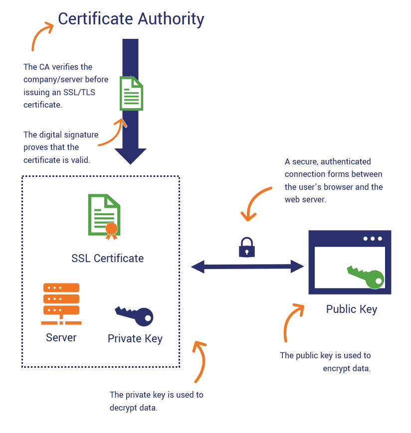 An illustration of the role a certificate authority plays in website security