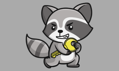 Raccoon Attack: Researchers Find A Vulnerability in TLS 1.2