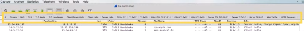 A screenshot of the TLS audit window