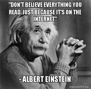 Don't believe everything you read, just because it's on the internet" -  Albert Einstein - Serious Albert Einstein | Make a Meme