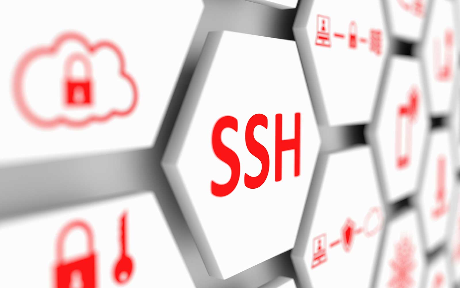 Spiller skak Dronning lighed 14 SSH Key Management Best Practices You Need to Know - Hashed Out by The  SSL Store™