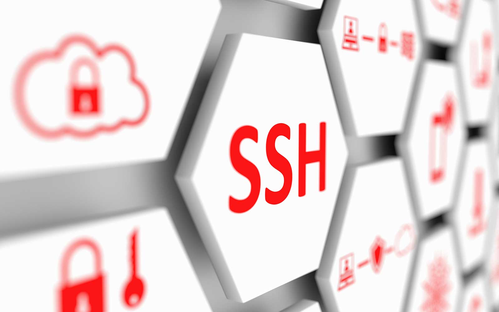 14 SSH Key Management Best Practices You Need to Know - Hashed Out by The SSL Store™