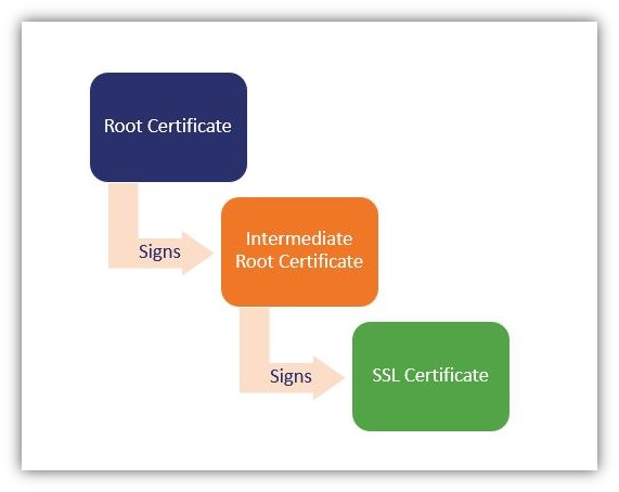 How to become a certificate authority graphic #2: A diagram that breaks down the SSL/TLS chain of trust