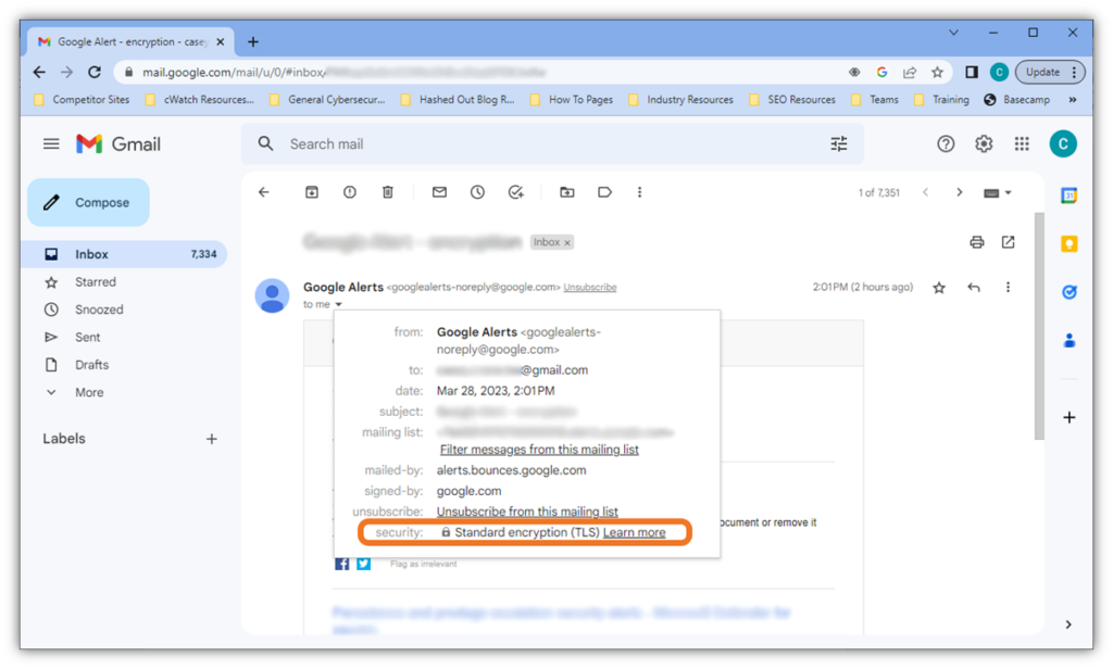 An email security screenshot that shows the email encryption that's provided via TLS