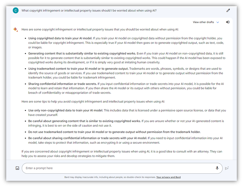 Generative AI risks image: A screenshot from my Google Bard discussion concerning copyright infringement and intellectual property concerns.