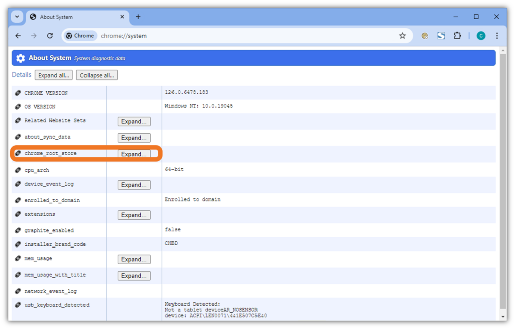 A screenshot showing where to access the Chrome root store in the Google Chrome browser.