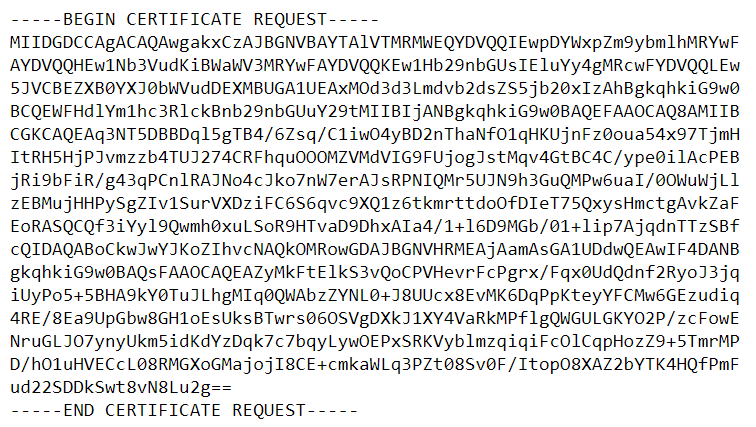 A CSR has a header, footer, and a big block of code in the middle.